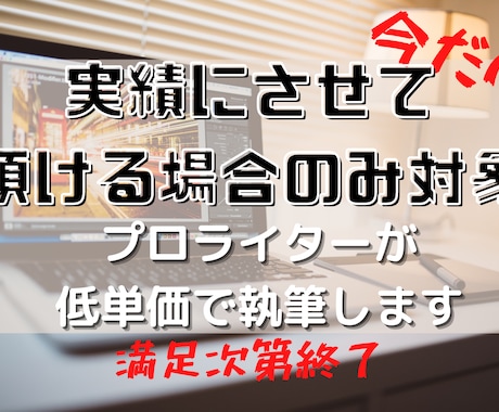 5件限定！条件満たす場合1文字3円で執筆します 文字単価4円のプロが3000文字9000円で書きます イメージ1