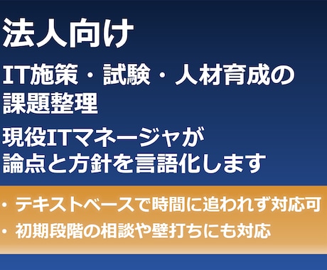 法人向け｜IT施策・試験・人材の課題を整理します 現役ITマネージャによる方針相談・論点整理（テキストのみ） イメージ1