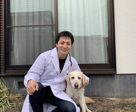 獣医師が犬猫の健康や予防について相談にのります 生活様式や食事についてなどなんでもお聞きください。 イメージ2