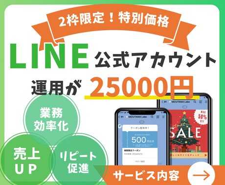 2枠限定価格！LINE公式アカウントの運用をします 丸投げOK！相場の半額以下で運用します！ イメージ1