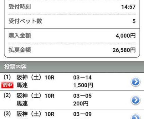 競馬ファン必見！軸馬・穴馬教えちゃいます どんなレースでも任せて！是非参考にしてみてください！ イメージ2