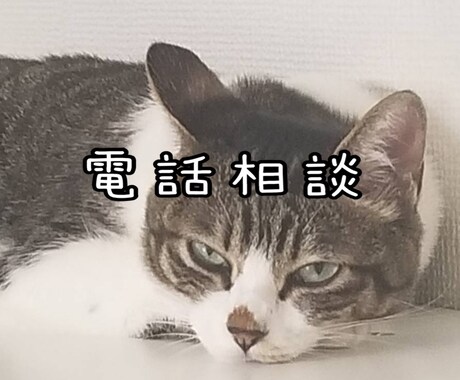 お電話相談致します お悩みや日常の出来事何でもお聞きいたします^ ^ イメージ1