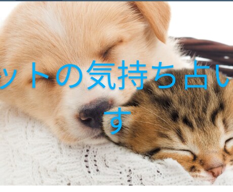 ペットの気持ち、状況を占います 大切な家族であるペットの気持ちをみながら悩みを解決します。 イメージ1