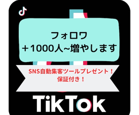 TIKTOKフォロワ＋1000人~拡散します SNS自動集客ツールプレゼント！マニュアル付！ イメージ1