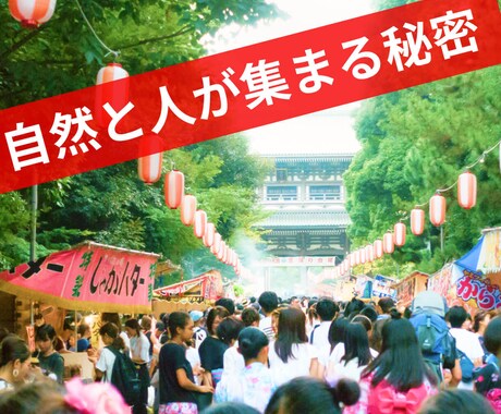 記事を書かないSEO対策をお伝えします SEO対策で困っている方が集客のページを作るだけで売上UP イメージ1