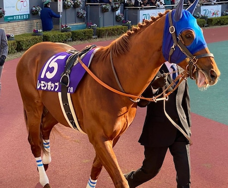 結果を出す競馬の予想の仕方教えます ★買う券種は複勝だけ！しっかり1点勝負です！ イメージ1