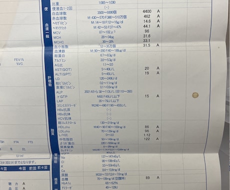 健康診断オールaになる健康方法を教えます 健康診断オールaになる血流！ けんこう イメージ1