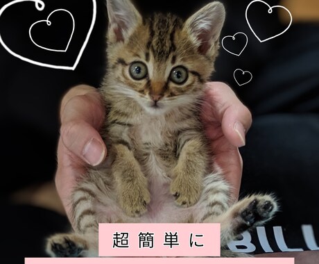 たったの3ステップでお小遣いを増やす方法を教えます あなたの個性を追加するだけでＯＫ！ イメージ1