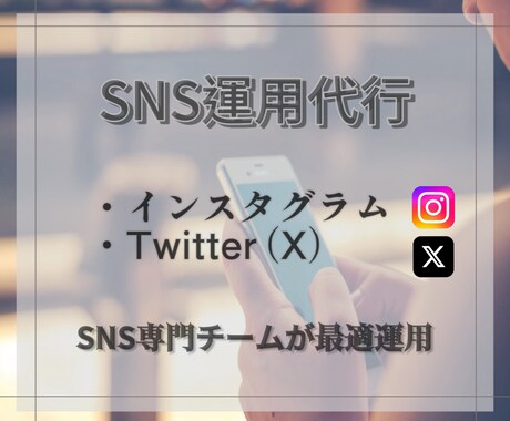あなたのSNS運用をプロが代行いたします 1ヶ月間SNS運用のプロチームが代行!運用目的を達成します! イメージ1