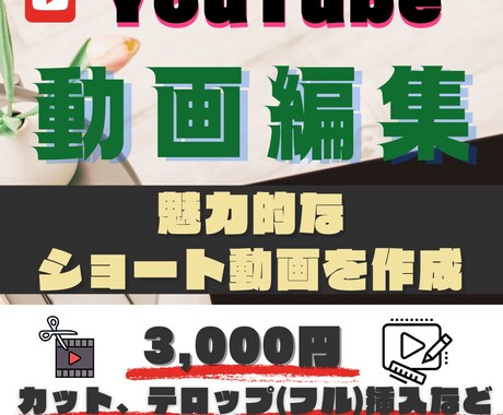 YouTubeショート動画編集承ります 魅力的な動画を納品！様々なジャンルに対応します。 イメージ1