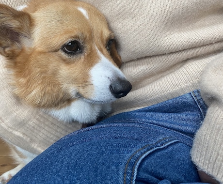 どんな小さなことでも聞きます あなたの吐き出し口に使ってください イメージ1