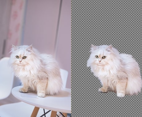 猫や犬などの画像をふわふわのまま透過加工します ペットの写真を透過し合成やオリジナルグッズに利用できます イメージ2