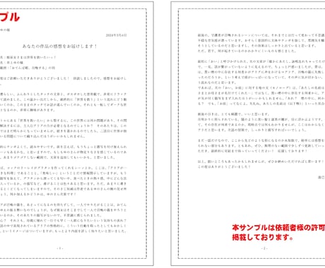 あなたの小説を読んで感想をお届けします 商業出版の実績を持つプロが真心込めて感想をお届けします！ イメージ2