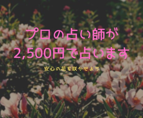 将来の不安を解決します プロの鑑定士があなたの未来を切り開きます イメージ1
