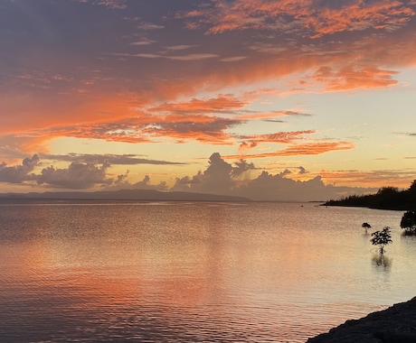 あなたのエネルギーフィールドを整え、最適化します アセンション中の方・ライトボディ化のサポート イメージ2