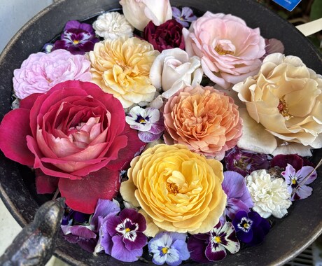 文章の編集その他、小さなお困りごとお手伝いします まずはお気軽にご相談ください。 イメージ1