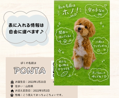 手書きトリセツ風うちの子名刺作ります スマホ写真OK！印刷代込100枚セミオーダーのペット名刺 イメージ2