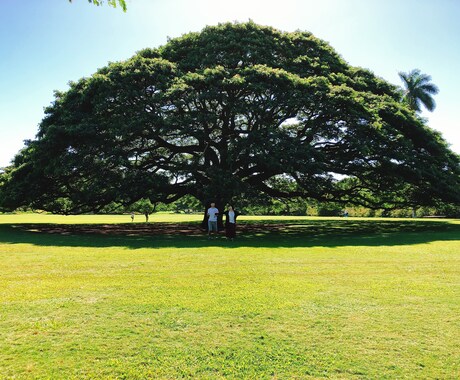 ご要望にあった医者や病院を探します 医師の得意や、病院の特徴を研究や治験等で得た調査力で貢献！ イメージ1