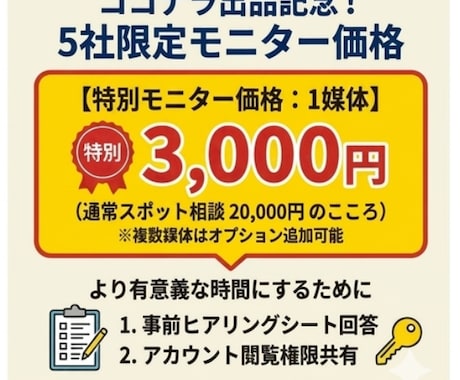 現役プロがWeb広告の単発診断・運用相談のります 歴7年のプロが事業主視点で売上に直結する改善提案 イメージ2