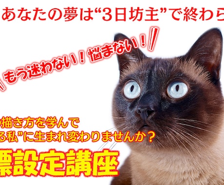 目標設定！理想の自分・夢を叶えるお手伝いをします 24年歴の元英語教師がお届けする超・現実的目標設定術 イメージ2