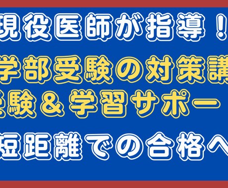 現役医師が指導！医学部受験の対策講座をします 【医学部合格へ】最短距離で合格！受験戦略＆学習サポート イメージ1