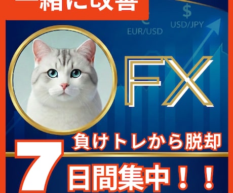 FX本気でガチ勝ち目指す人へトレードの土台作ります 元専業の私と勝ちたいあなたが”本気でトレードを見直す1週間” イメージ1