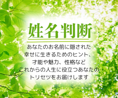 これからの人生に活かせる姓名判断鑑定します 恋愛・仕事・人間関係等に活かせる、お名前の特徴を解説します イメージ1