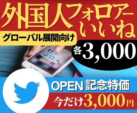 Twitterで世界を視野に活動する方を応援します 日本の人口とは比べものにならない数の世界ユーザーにアプローチ イメージ1