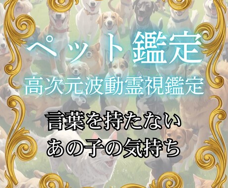 ペットとの絆を波動で詠み解き愛の記憶を繋ぎ直します あの子が伝えたたい「あなたへの想い」言葉を超えた愛を霊視 イメージ1