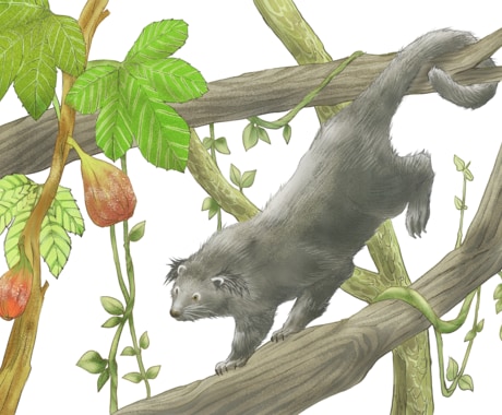 動物イラスト作成します リアルな精密画からデフォルメまで イメージ2