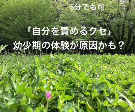 カウンセラーがあなたのインナーチャイルドを癒します 【自分を責めるクセ】もしかして幼少期に原因かも知れません イメージ1