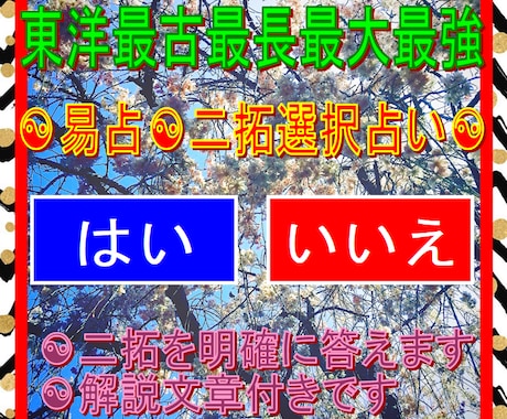 あなたのお悩みに「はい」「いいえ」で明確に答えます ☯二拓選択易占☯東洋最古最長最大最強が全身全霊全力尽力です☯ イメージ1
