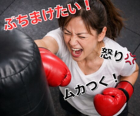 ムカつく上司・部下！あなたのサンドバッグになります ぶちまけたいけど後が怖い。そのままにしてると体に毒ですよ。 イメージ1