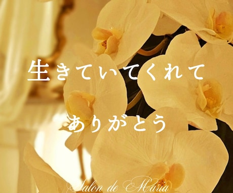 消えてしまいたい｜お辛いあなたに心から寄り添います 【自殺未遂】孤独/引きこもり/いじめ/不登校/人間不信/絶望 イメージ1