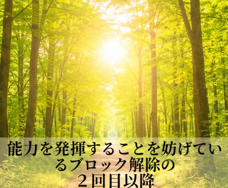 能力を発揮できるよう整えますの2回目以降を行います 能力を発揮することを妨げているブロックが取り切れてない方対象 イメージ1