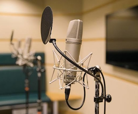 声優を目指したい方のご相談に乗ります 元声優がどう行動するといいのかアドバイス! イメージ1
