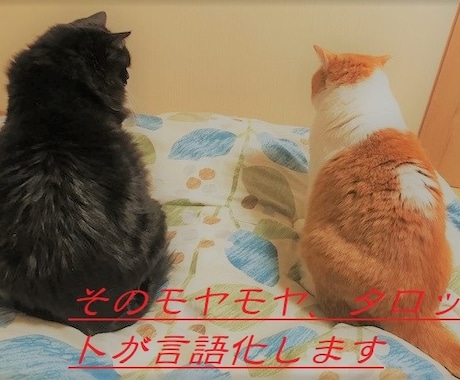 そのモヤモヤ、タロットが言語化します あの人は私の事をどう思っているの？ イメージ2