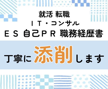 ＩＴ・コンサル★面接官がＥＳ・履歴書を添削します 新卒キャリアどちらもＯＫ！下書きの状態でも大丈夫です！ イメージ1