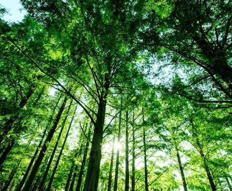 発達障害グレーゾーンの悩みを聞きます 境界知能がゆえに困ること、ぶつかる壁、お話ししましょう。 イメージ1