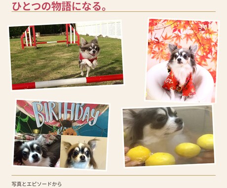 うちの子だけのオリジナルテーマ音楽＆動画を作ります 大切な思い出を、世界にひとつの音楽と映像にします イメージ2