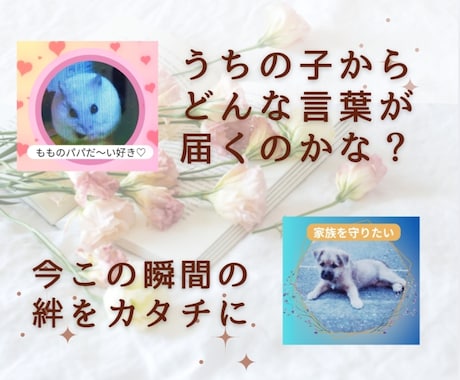 ペットちゃんからの一言メッセージをお届けします あなたとペットちゃんをつなぐ、一言メッセージ入り画像です。 イメージ2