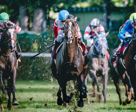 元大手競馬メディア社員が競馬予想記事を提供します 馬体診断や追い切りを担当していた独自の目線で出走馬を評価！ イメージ1