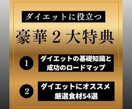 あなた専用の食事プランを完全設計します 安心のチャットサポート付き。初出品のため特別価格にて提供 イメージ2
