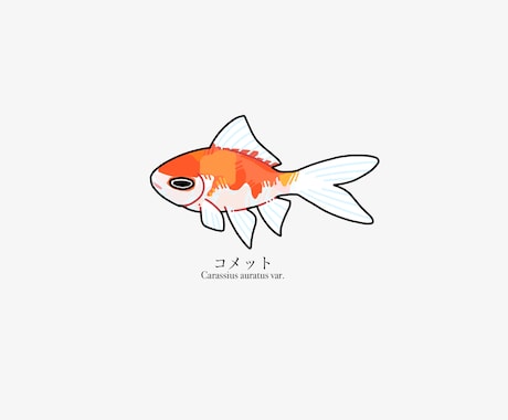 魚のイラストを作成します 魚好きがあなただけのお魚イラストを描きます イメージ2