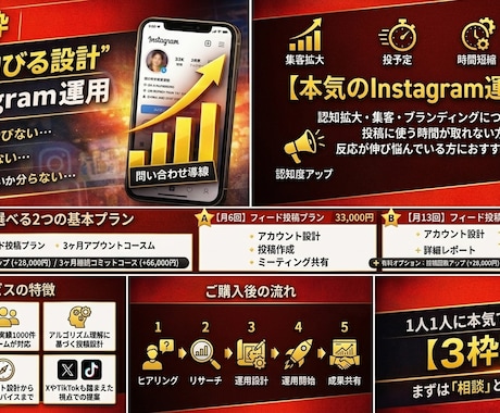 限定３枠！本気のInstagram運用をします インスタ運用お任せ！定期的な打ち合わせ・データ共有もします！ イメージ1