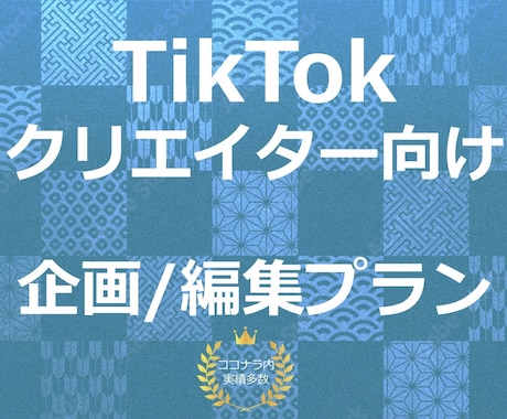 本格TikTokアカウント運用1ヶ月行います 【個人クリエイター向け】バズる! TikTok運用 イメージ1