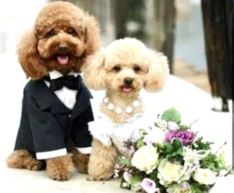 結婚時期・結婚相手・未来を複数占術でみます 理想の結婚生活へ導く♡四柱推命の総合鑑定＋一言メッセージ付き イメージ2