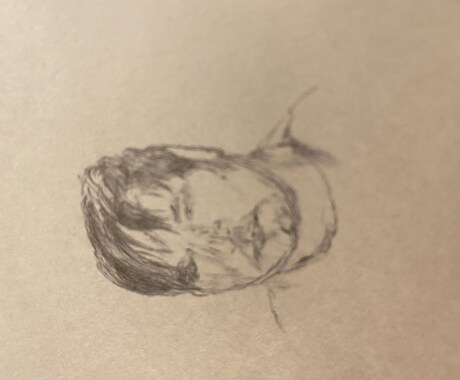 自画像 ボールペン字描きます ボールペンの細かい線で生きている様な自画像 画像紙色選べます イメージ2