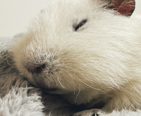 お悩み相談のります 私も自律神経失調症でした。お話聞かせてください。 イメージ1