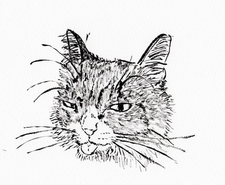 写真を元に猫の絵を墨で描きます！ イメージ2